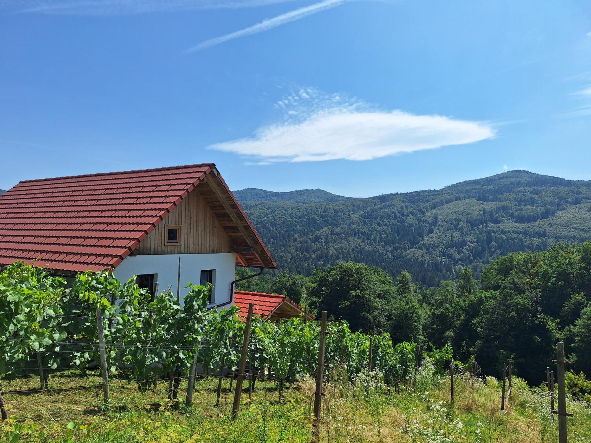 Zidanica Vidrih Hébergement de vacances Dolenjske Toplice